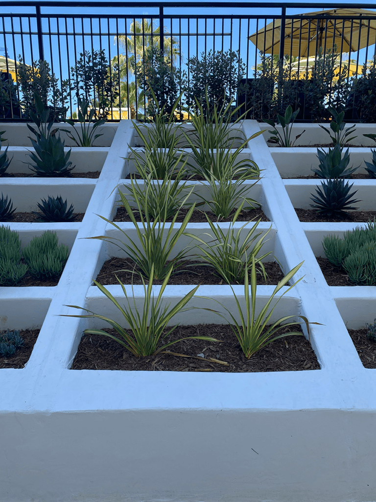 Poolside Plants An organized sloped wall of plants next to the pool.