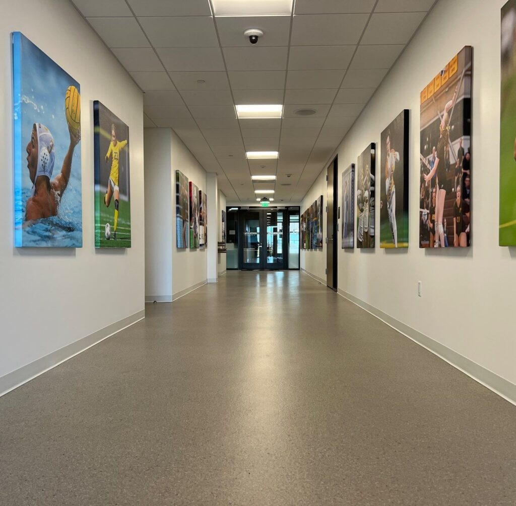 school flooring westcoat